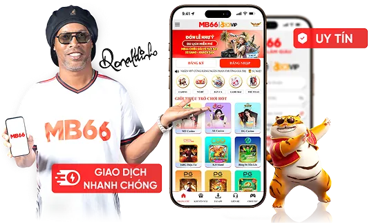 Tốc độ nhanh chóng và ổn định